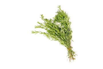 Bunch of organic green vibrant rosemary isolated