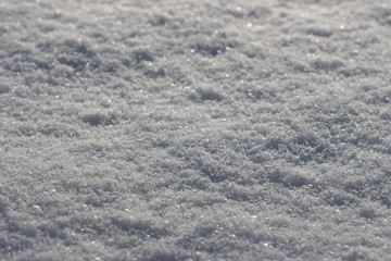 snow covered background