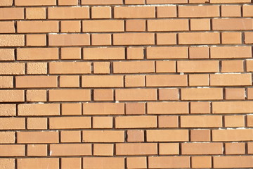 alte Ziegelsteinmauer, Ziegelsteine