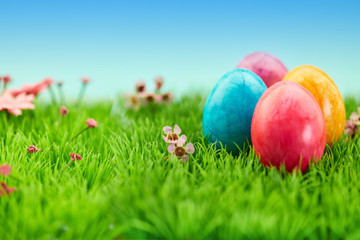 Vier bunte Ostereier zu Ostern in Natur