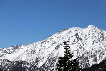 新穂高ロープウェイからの景色