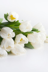 Bouquet of white tulip on white. Copy space.