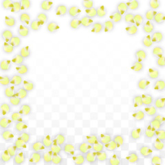 Vector Realistic Pink Petals Falling on Transparent Background.  Spring Romantic Flowers Illustration. Flying Petals. Sakura Spa Design. Blossom Confetti.