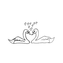 Hand drawn doodle of pairs of swans.