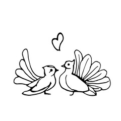 Hand drawn doodle set of pairs of pigeons.