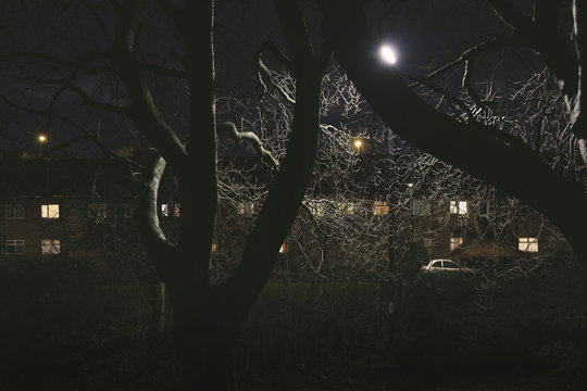 Byker Wall At Night 