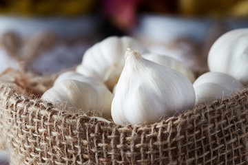 Raw organic garlic (Allium sativum) in burlap sack
