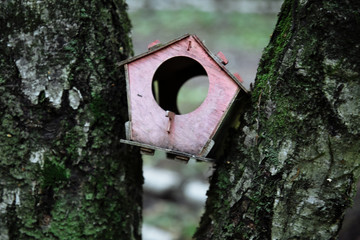 wooden birdhouse