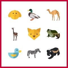 Naklejka premium 9 animal icon. Vector illustration animal set. camel and zebra icons for animal works