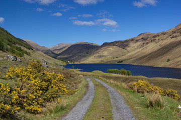 Country road lead to forestless hills and intensive blue lake, Scotland