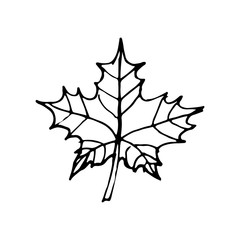 Doodle Leave Sketch line illustration