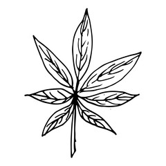 Doodle Leave Sketch line illustration