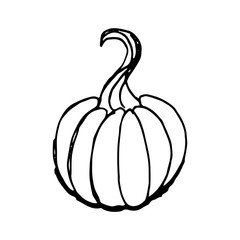 hand draw pumpkin.