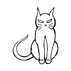 black cat hand draw