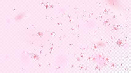 Nice Sakura Blossom Isolated Vector. Magic Falling 3d Petals Wedding Frame. Japanese Blooming Flowers Wallpaper. Valentine, Mother's Day Realistic Nice Sakura Blossom Isolated on Rose