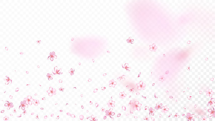 Fototapeta na wymiar Nice Sakura Blossom Isolated Vector. Feminine Showering 3d Petals Wedding Paper. Japanese Oriental Flowers Wallpaper. Valentine, Mother's Day Tender Nice Sakura Blossom Isolated on White