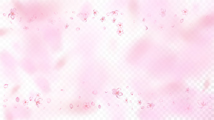 Nice Sakura Blossom Isolated Vector. Feminine Showering 3d Petals Wedding Paper. Japanese Oriental Flowers Illustration. Valentine, Mother's Day Pastel Nice Sakura Blossom Isolated on White