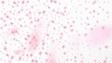 Nice Sakura Blossom Isolated Vector. Feminine Blowing 3d Petals Wedding Texture. Japanese Nature Flowers Wallpaper. Valentine, Mother's Day Spring Nice Sakura Blossom Isolated on White