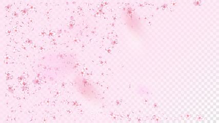 Nice Sakura Blossom Isolated Vector. Realistic Flying 3d Petals Wedding Border. Japanese Blurred Flowers Wallpaper. Valentine, Mother's Day Feminine Nice Sakura Blossom Isolated on Rose