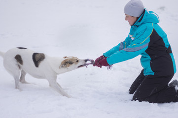 Female master playing with mixed breed dog trying to pull out rope from the dog's teeth at winter...