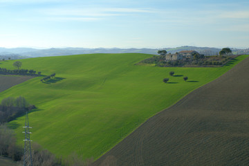 Naklejka premium green field,countryside,italy,landscape,horizon,panorama,agriculture,rural,view,hill