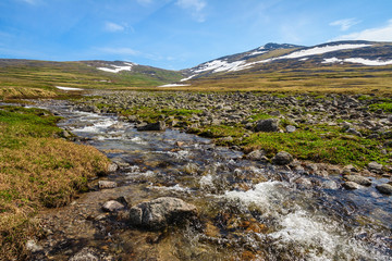 Summer landscape with mountain stream and hills. July in the Arctic. Warm sunny weather. Chukchi Peninsula, Chukotka, Far East of Russia.