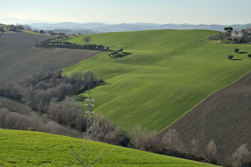 Obraz premium landscape with hills,green fiels,italy,landscape,countryside,view,agriculture,panorama,rural,horizon