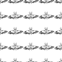 hawk moth seamless pattern isolated on white background