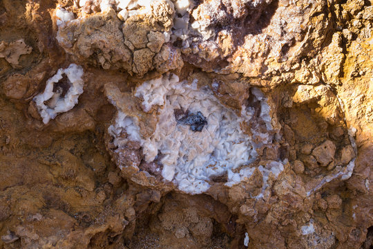 Detail of the salt crystals on the rock
