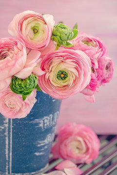 Fototapeta Close-up floral composition with a pink Ranunculus flowers in a vase. Beautiful bouquet of spring flowers.