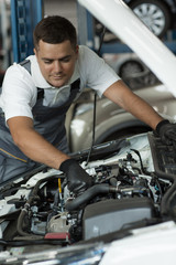 Serious man fixing breakage in hood of automobile at car service. Slilled mechanic in white shirt, grey uniform and protective gloves repairing broken vehicle. Concept of maintenance.