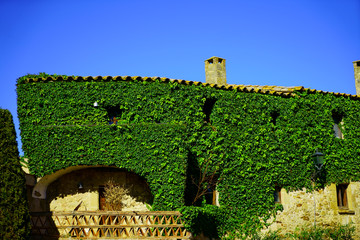 Fototapeta premium fachada casa antigua rodeada de plantas verdes