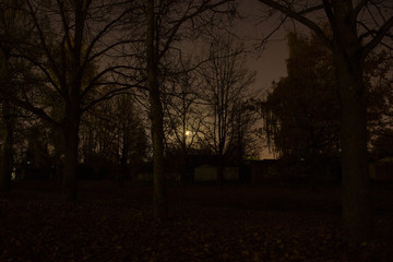 Fototapeta premium Streets night 