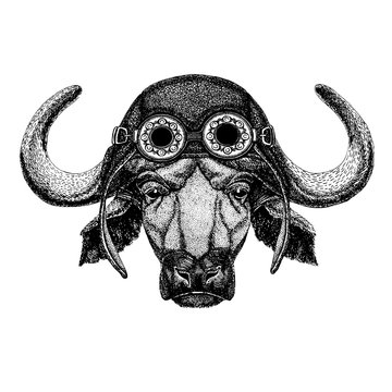 Cute animal wearing motorcycle, aviator helmet Buffalo, bull, ox Hand drawn illustration for tattoo, emblem, badge, logo, patch, t-shirt
