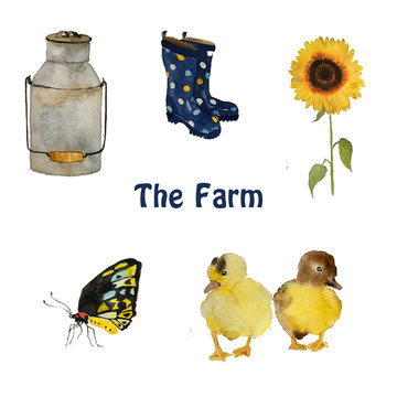 Farm birds and objects: small yellow duck chicks, nest with eggs, gumboots and sunflower isolated hand painted naturalistic watercolor illustration