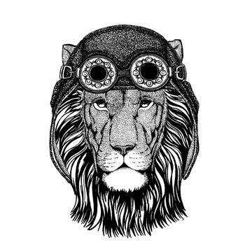Cute animal wearing motorcycle, aviator helmet Lion Hand drawn picture for tattoo, emblem, badge, logo, patch, t-shirt