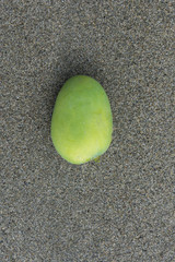 green mango  on the ground