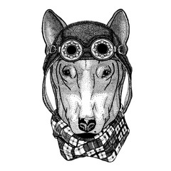 Cute animal wearing motorcycle, aviator helmet DOG for t-shirt design Hand drawn illustration for tattoo, emblem, badge, logo, patch