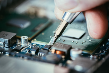 Obraz premium Technician is fixing a computer circuit board, hand and screwdriver.