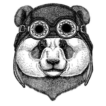 Panda bear. Bamboo bear. Cute animal wearing motorcycle, aviator helmet Hand drawn image for tattoo, emblem, badge, logo, patch, t-shirt