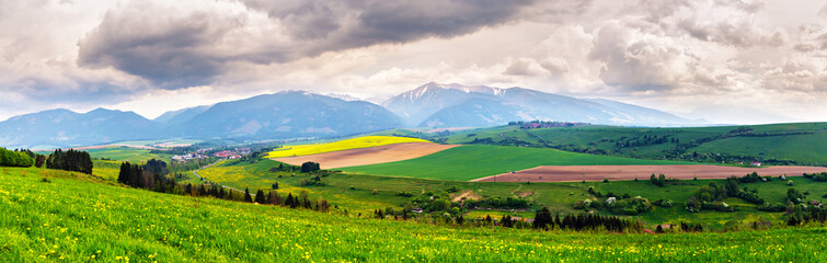 Fototapeta premium Spring storm in mountains panorama. Dandelion meadow.