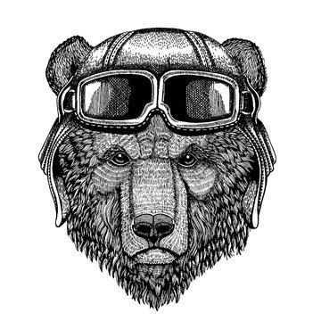 Animal wearing aviator helmet with glasses. Vector picture. Brown bear Russian bear Hand drawn image for tattoo, t-shirt, emblem, badge, logo, patch
