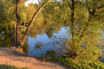 Autumn park at sunset