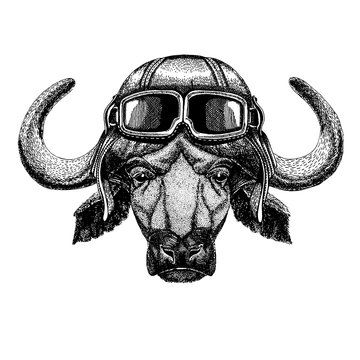 Animal wearing aviator helmet with glasses. Vector picture. Buffalo, bull, ox Hand drawn illustration for tattoo, emblem, badge, logo, patch, t-shirt