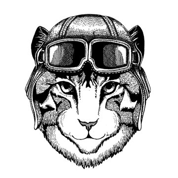 Animal wearing aviator helmet with glasses. Vector picture. Image of domestic cat Hand drawn illustration for tattoo, emblem, badge, logo, patch, t-shirt