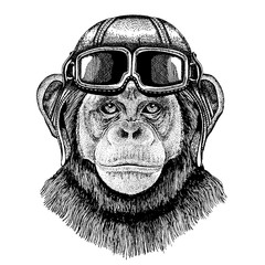 Animal wearing aviator helmet with glasses. Vector picture. Chimpanzee Monkey Hand drawn illustration for tattoo, emblem, badge, logo, patch, t-shirt