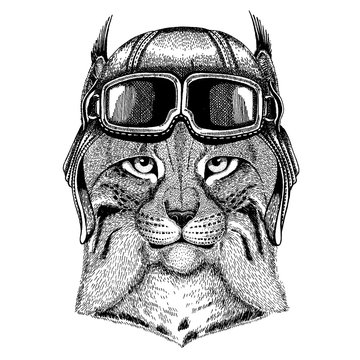Animal wearing aviator helmet with glasses. Vector picture. Wild cat Lynx Bobcat Trot Hand drawn image for tattoo, emblem, badge, logo, patch