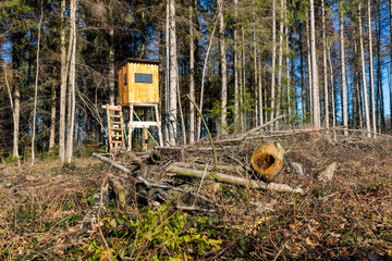 Hochsitz im Forst, Deutschland