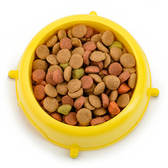 Bowl of kibbles