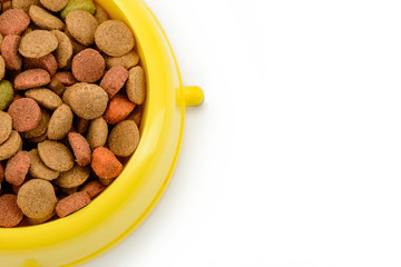Bowl of dog food